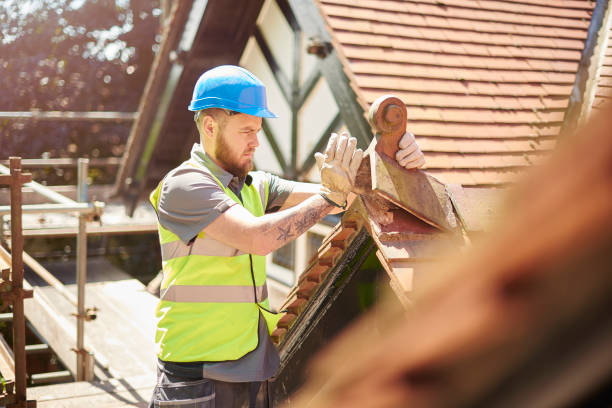 Best Storm Damage Roof Repair  in Adelphi, MD